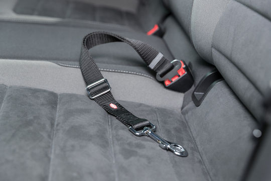 Trixie Friends On Tour Seatbelt Car for Dog 45-70cm / 25mm Black