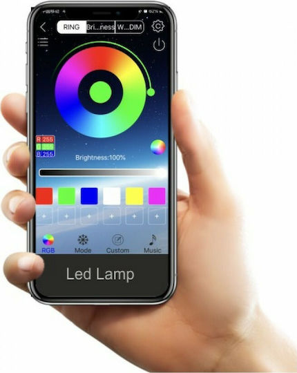 Spot Light Smart LED-Streifen 12V RGB Licht 5m