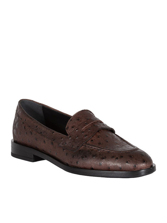 Γυναικεία δερμάτινα Loafers Brown Frau Emupaint 88J0