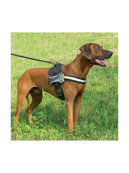 Ferplast Dog Harness Training Hercules P Blue Small 25mm x 59-70cm 75468325