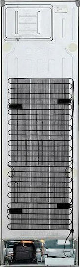 LG Kühl-Gefrierkombination 384Es Total NoFrost H203xB59.5xT68.2cm. Dark Graphite GBP62DSNGN