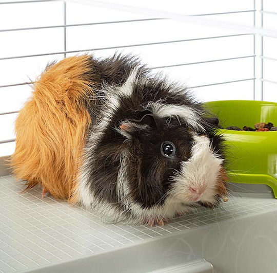 Ferplast Casita 80 Rodent Cage Cage for Rabbits and Guinea Pigs 78x48x50cm