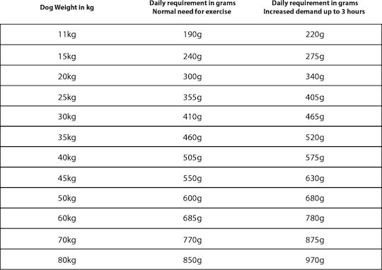 Adult 10kg Dry Food Grain-Free for Adult Dogs with Lamb