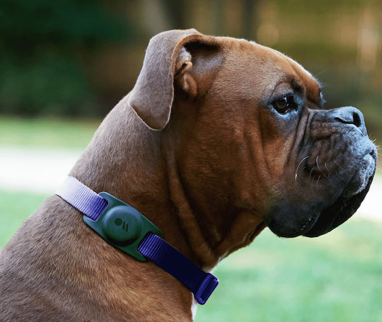 Case-Mate Dog Θήκη Κολάρου Κατοικιδίων Σιλικόνης για AirTag σε Μαύρο χρώμα