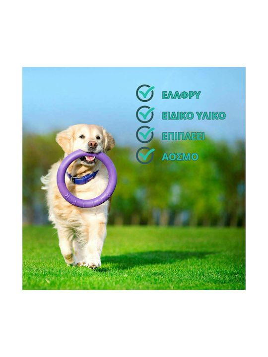 Puller Frisbee Hundespielzeug Mittel 28cm Lila 2Stücke