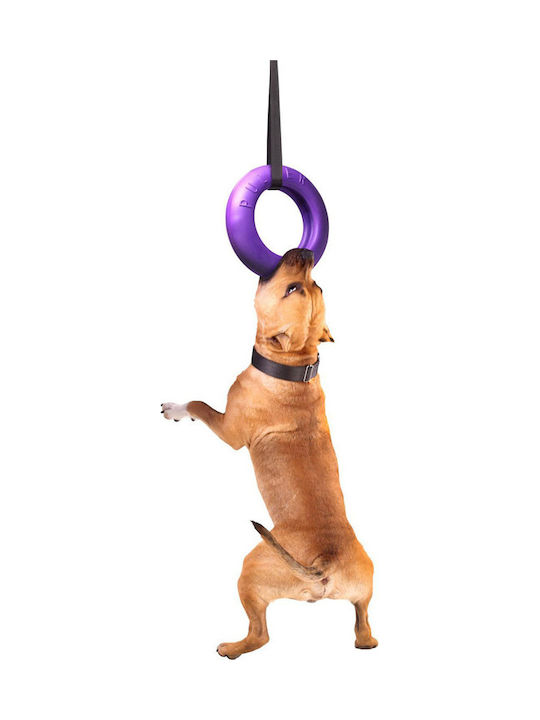 Puller Frisbee Σκύλου 30εκ. Μωβ 1τμχ