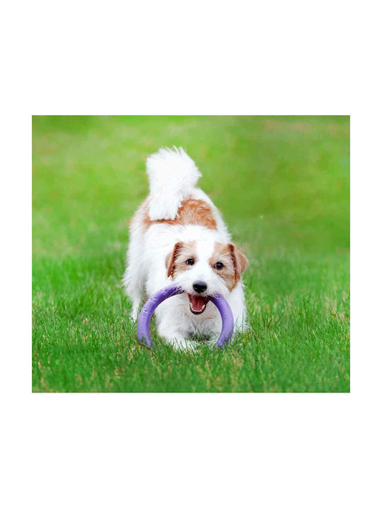Puller Frisbee Σκύλου 30εκ. Μωβ 1τμχ