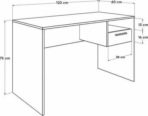 Desk Concept Wooden White 120x60x75cm