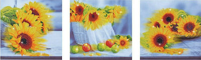 Diamond Dotz Sunflower Days Καμβάς Diamond Painting Κιτ