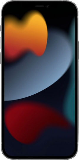 Puro 0.3 Nude Back Cover Silicon Transparent (iPhone 13 Pro Max)