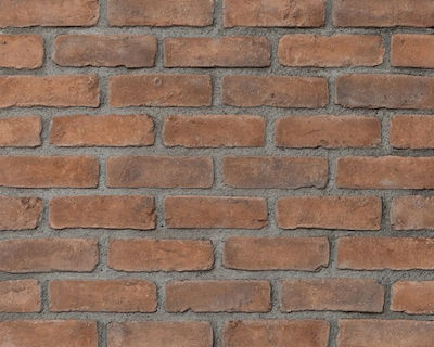 Hellas Stones Euro Brick Marrone Ziegelstein Wandverkleidungssteine 24x7cm