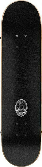Darkstar Premium 7.375" Complete Shortboard Πολύχρωμο