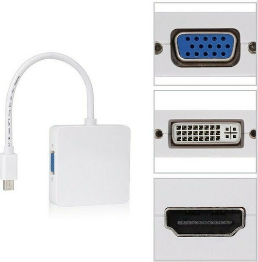 Powertech Convertor mini DisplayPort masculin în DVI-I / VGA feminin Alb 1buc CAB-DP016