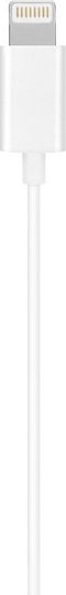 5903396042317 Handsfree cu două căști cu mufă Lightning Alb