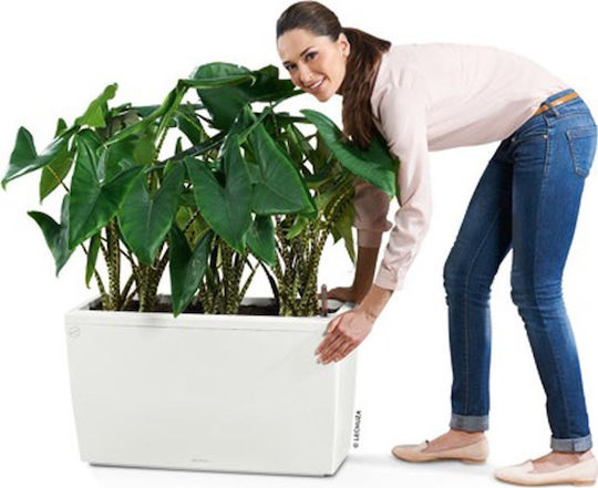 Lechuza Cararo Premium Self-watering Planter Box Plastic White 75x30x42.5cm.