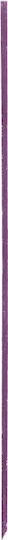 Shiseido Microliner Ink Gel 09 Violet