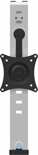StarTech Επιτοίχια Βάση Οθόνης έως 34" με Βραχίονα (S55058920)