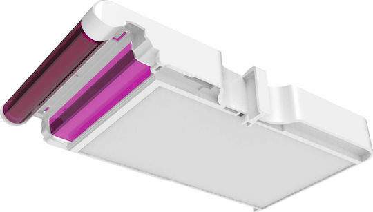 AgfaPhoto Cartridge & Paper Fotopapier 54x86 für Drucker Tintenstrahl 50 Blätter