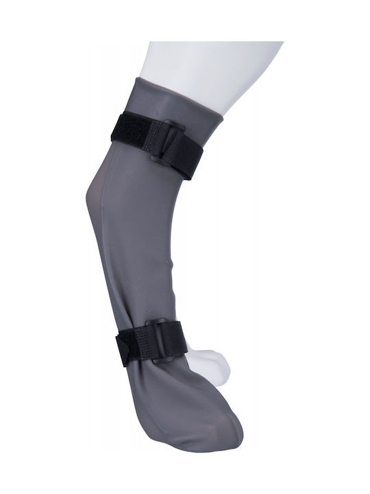 Trixie Socks Dog Trixie Socks Dog