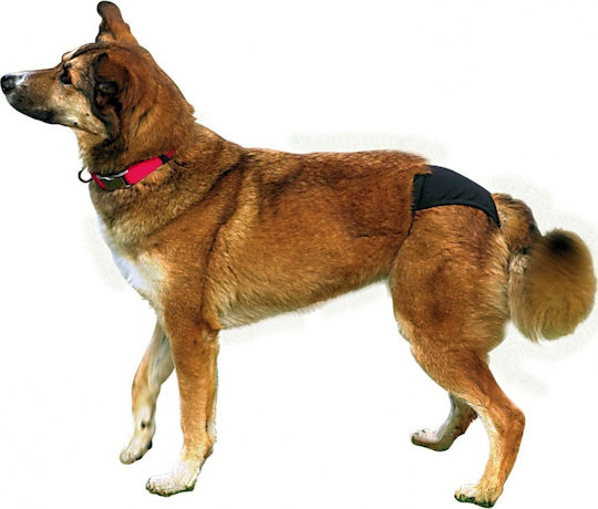 Trixie Diapers Dog Panties Medium / Small 32cm 1pcs
