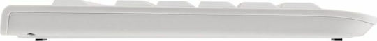 Cherry KC 1000 Nur Tastatur Englisch US Pale Gray