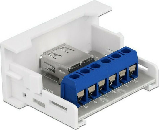 DeLock Module Usb Σε Terminal Block Easy 45 (81343)