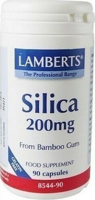 Lamberts Silica 200mg 90 caps