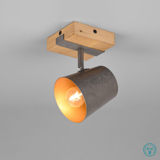 Trio Lighting Bell Einzel Spot mit Fassung E14 in Gray Farbe