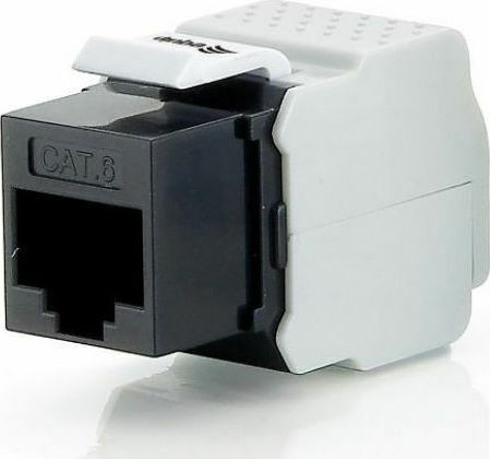 Equip Keystone 8Stück (769211)