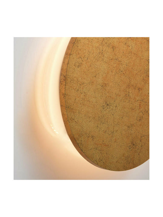 Aca Eclipse Modern Lamp Wall with Integrated LED and Warm White Light Gold 14x3.8cm