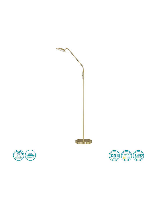 Wofi Orta LED Φωτιστικό Δαπέδου Υ135xΜ23εκ. με Θερμό Λευκό Φως 800lm Χρυσό