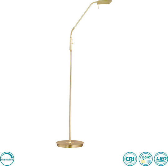 Wofi Cory Lampa de podea LED Î150xL27cm. cu Lumină Alb Cald 600lm Auriu