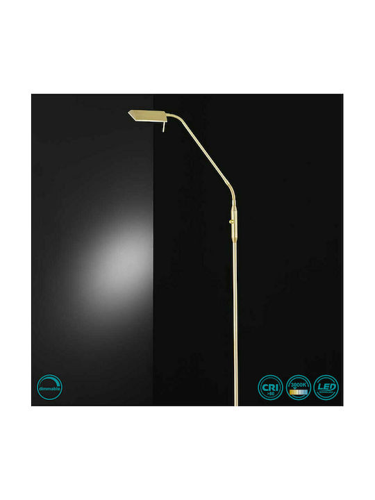 Wofi Cory LED Φωτιστικό Δαπέδου Υ150xΜ27εκ. με Θερμό Λευκό Φως 600lm Χρυσό