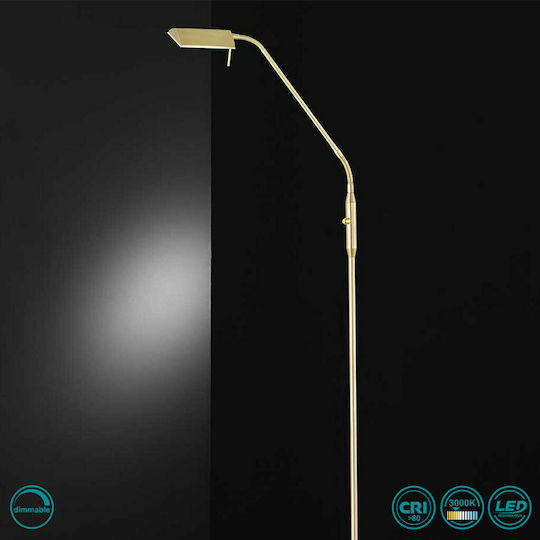 Wofi Cory Lampa de podea LED Î150xL27cm. cu Lumină Alb Cald 600lm Auriu