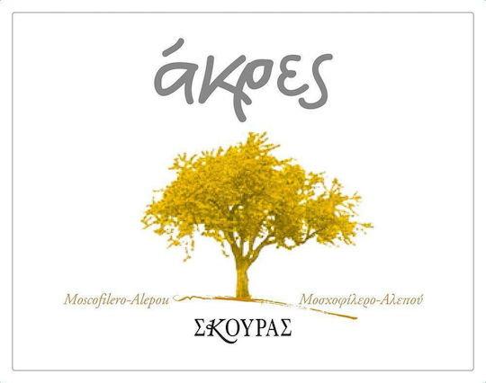 Σκούρας Κρασί Άκρες Λευκό Ξηρό Νεμέας 750ml