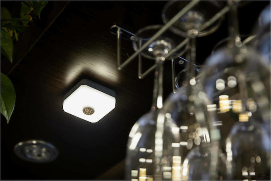 Allocacoc LED Нощна лампа с Сензор за движение 1бр