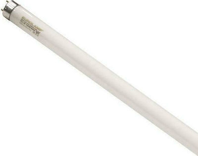 Eurolamp Fluorescent Lamp with Shape T8 30W