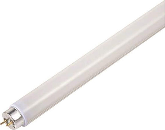Eurolamp Fluorescent Lamp for Socket G13 with Shape T8 58W