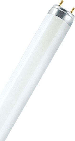 Ledvance Lumilux Fluorescent Lamp for Socket G13 with Shape T8 18W