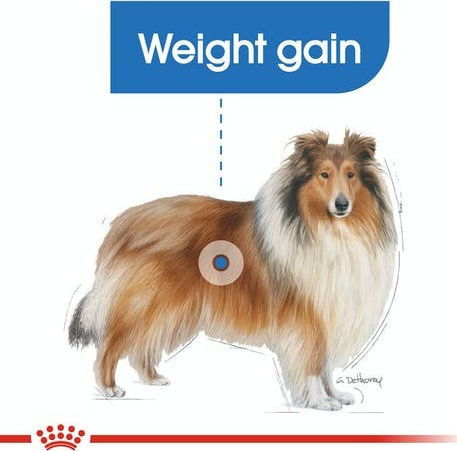 Royal Canin Maxi Light Weight Care 3kg Dry Food Diet for Adult Neutered Large Breed Dogs with Poultry