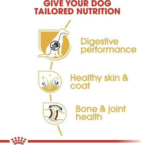 Royal Canin Adult German Shepherd 11kg Dry Food for Adult Large Breed Dogs with Rice and Poultry
