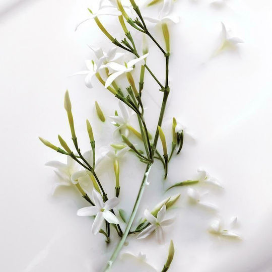 Dior J' Adore Deodorant In Spray 100ml