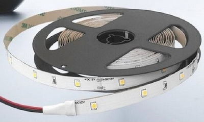 Cubalux Ταινία LED Τροφοδοσίας 24V με Θερμό Λευκό Φως Μήκους 5m και 60 LED ανά Μέτρο Τύπου SMD2835