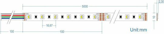 Cubalux LED Лента 24V RGBW - RGBW Светлина 5м Тип SMD5050