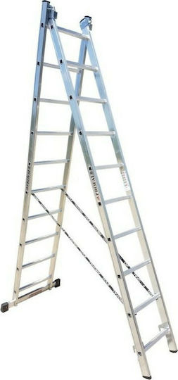 Profal Dublu Scara combinata Aluminiu 2x10