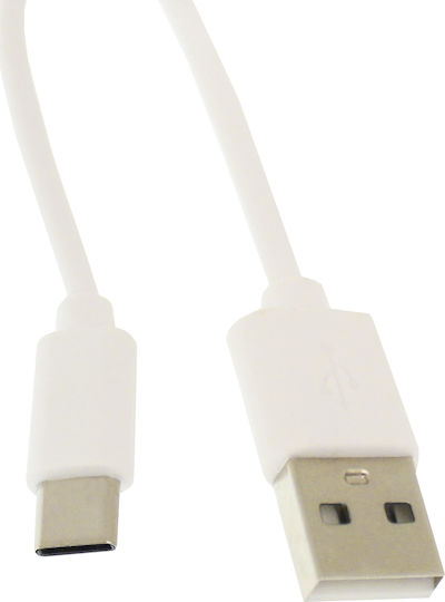 Andowl Qsj1c USB 2.0 Cable USB-C male - USB-A Λευκό 1m Q-SJ1C