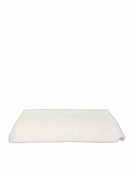 Idilka Μαξιλάρι Ύπνου Latex Ανατομικό 50x70cm