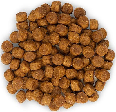 Hill's Science Plan Puppy <1 Medium 2.5kg Trockenfutter für Welpen mittlerer Rassen mit Huhn