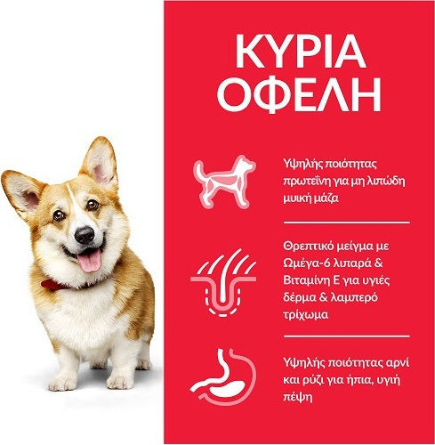 Hill's Science Plan Adult Small Lamb & Rice 1.5kg Ξηρά Τροφή για Ενήλικους Σκύλους Μικρόσωμων Φυλών με Αρνί και Ρύζι