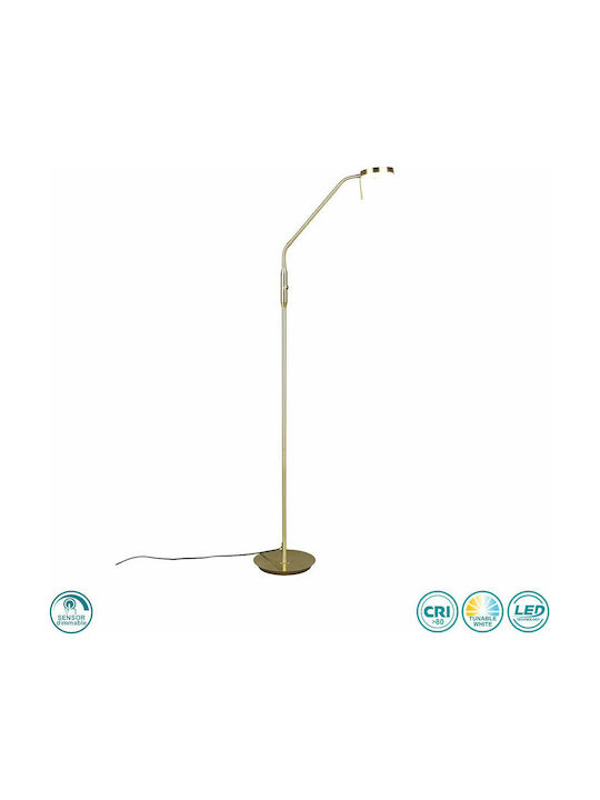Trio Lighting Monza LED Floor Lamp H145xW25cm. with Warm White Light 1400lm Gold